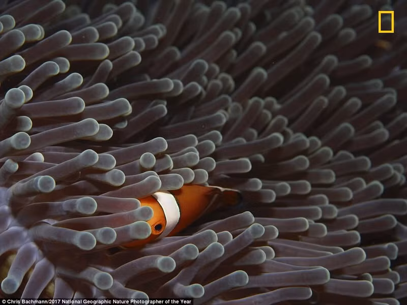 nhung buc anh thien nhien an tuong tren tap chi hang dau cua my