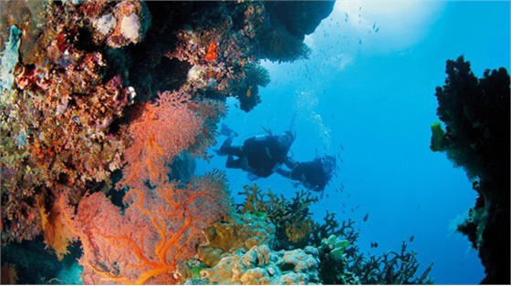 5. Rạn san hô Great Barrier Reef, Australia Là rạn san hô lớn nhất thế giới và được UNESCO công nhận là di sản thế giới vào năm 1981, Great Barrier Reef bao phủ một vùng với diện tích lên đến 380.000 km2.