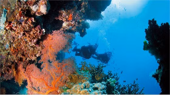 5. Rạn san hô Great Barrier Reef, Australia Là rạn san hô lớn nhất thế giới và được UNESCO công nhận là di sản thế giới vào năm 1981, Great Barrier Reef bao phủ một vùng với diện tích lên đến 380.000 km2.