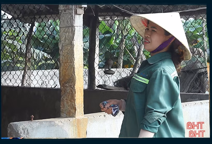 Dịch bệnh trên gia súc và “lá chắn” trong chăn nuôi (bài 1): Lao đao giữa dịch bệnh “kép”! ảnh 7 Dịch bệnh trên gia súc và “lá chắn” trong chăn nuôi (bài 1): Lao đao giữa dịch bệnh “kép”!