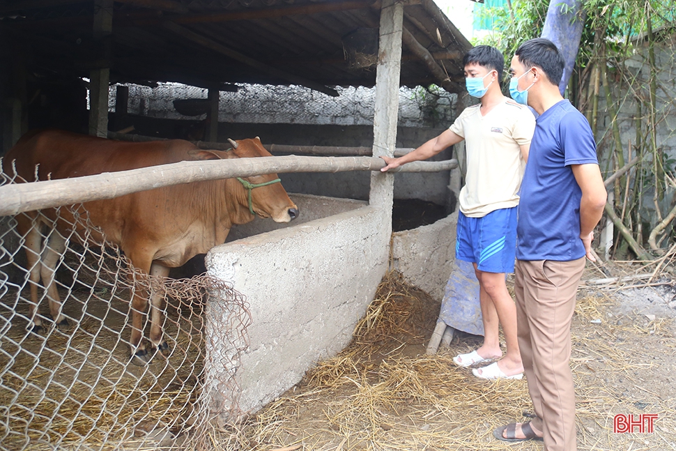 Dịch bệnh trên gia súc và “lá chắn” trong chăn nuôi (bài 1): Lao đao giữa dịch bệnh “kép”!