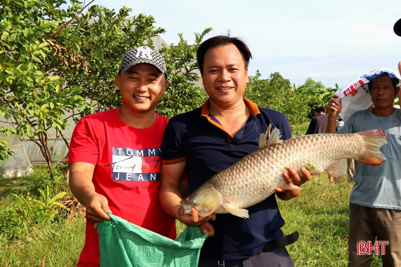 Rộn ràng ngày hội nơm cá ở Nghi Xuân