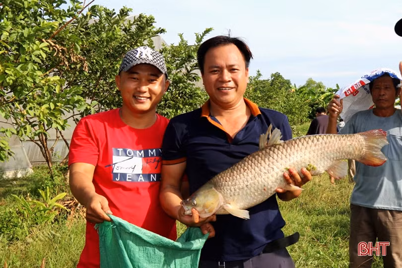 Rộn ràng ngày hội nơm cá ở Nghi Xuân