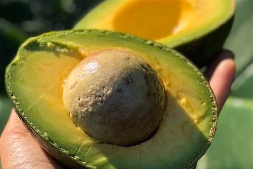 Sai lầm nghiêm trọng khi ăn bơ bạn cần dừng lại ngay hôm nay