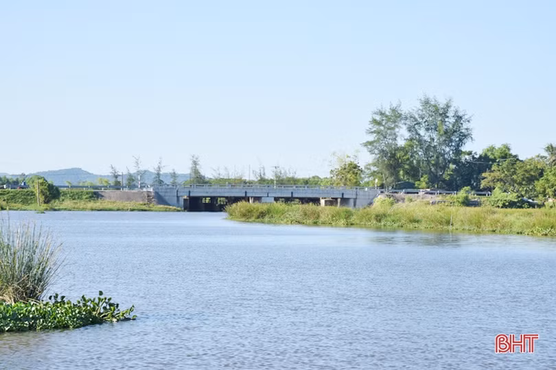 Cần sớm khơi thông khu vực hạ lưu cống Cầu Trù để đảm bảo thoát lũ