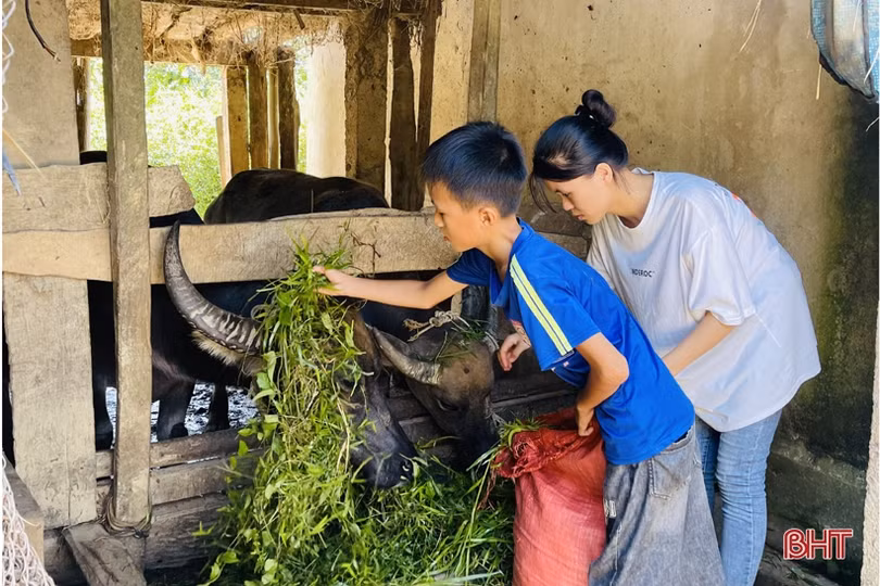 Á khoa khối C00 Hà Tĩnh với khát khao được đến giảng đường, giúp bố mẹ thoát nghèo