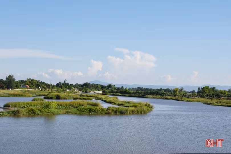 Cần sớm khơi thông khu vực hạ lưu cống Cầu Trù để đảm bảo thoát lũ