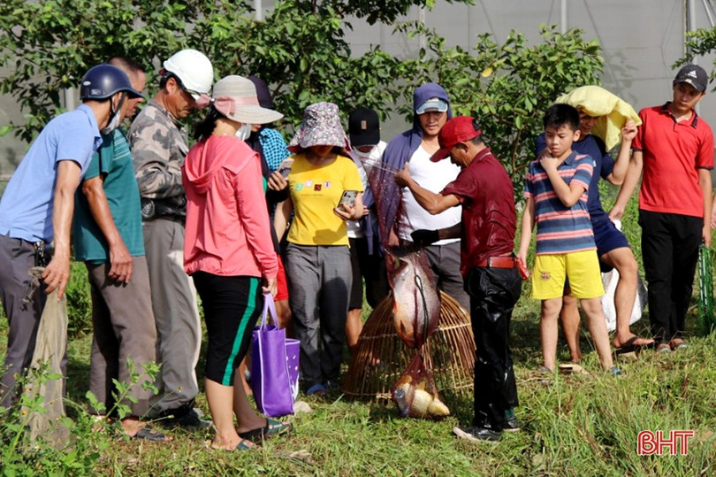 Rộn ràng ngày hội nơm cá ở Nghi Xuân