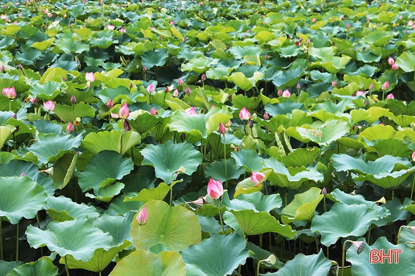 Tôi yêu thành phố của tôi