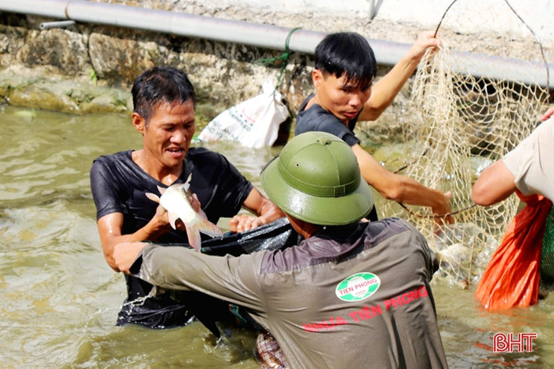 Rộn ràng ngày hội nơm cá ở Nghi Xuân