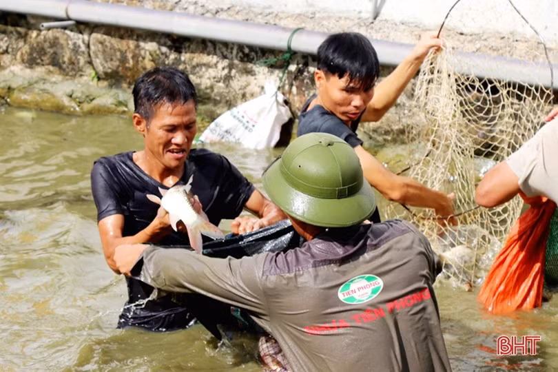 Rộn ràng ngày hội nơm cá ở Nghi Xuân