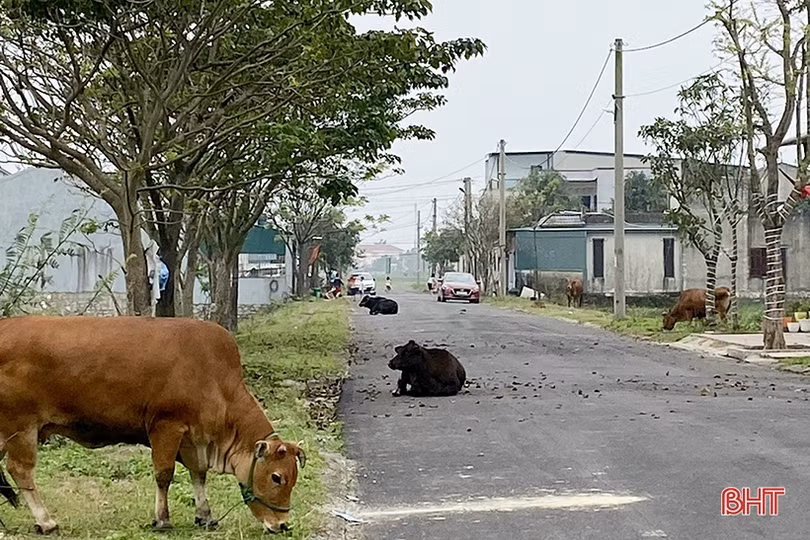 Làng trong phố ở Hà Tĩnh
