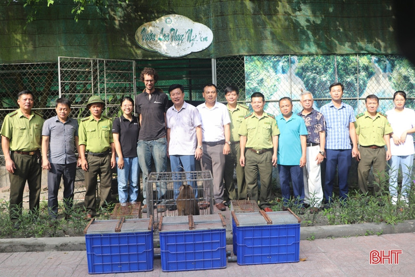 Thả 8 cá thể động vật hoang dã về Vườn Quốc gia Vũ Quang