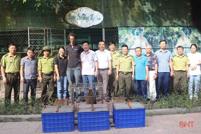 Thả 8 cá thể động vật hoang dã về Vườn Quốc gia Vũ Quang