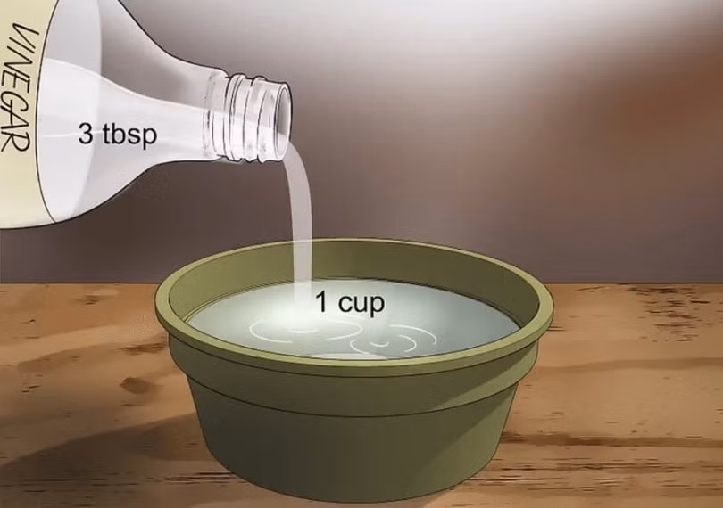 Đồ gỗ trong nhà muốn sạch bụi bẩn, ẩm mốc nhớ 7 mẹo đơn giản này