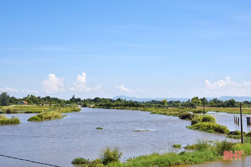 Cần sớm khơi thông khu vực hạ lưu cống Cầu Trù để đảm bảo thoát lũ