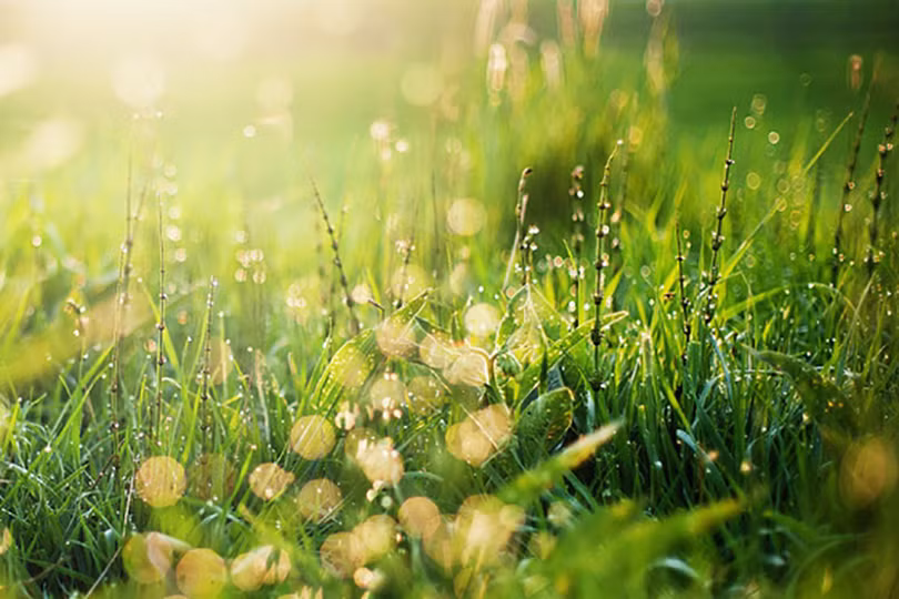 Tôi yêu thành phố của tôi