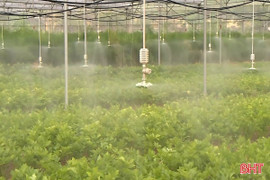 Ứng dụng công nghệ phát triển sản xuất nông nghiệp