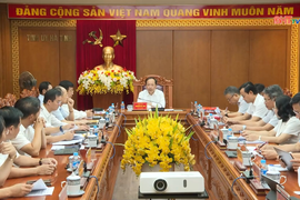 Ban thường vụ Tỉnh ủy cho ý kiến các nội dung thuộc thẩm quyền