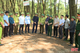 Lãnh đạo tỉnh kiểm tra công tác phòng cháy, chữa cháy rừng tại Hương Sơn, Hồng Lĩnh