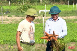 Phủ xanh những vùng đất hoang hóa, bạc màu