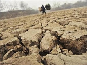 Ảnh minh họa. (Nguồn: Internet)