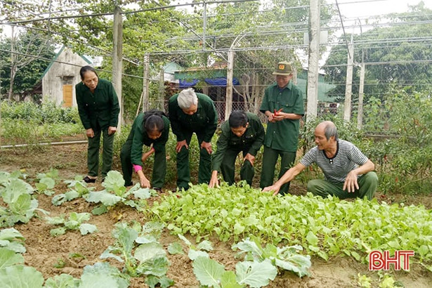 71 cựu TNXP huyện Thạch Hà được trao tặng huy hiệu “Nông thôn mới”