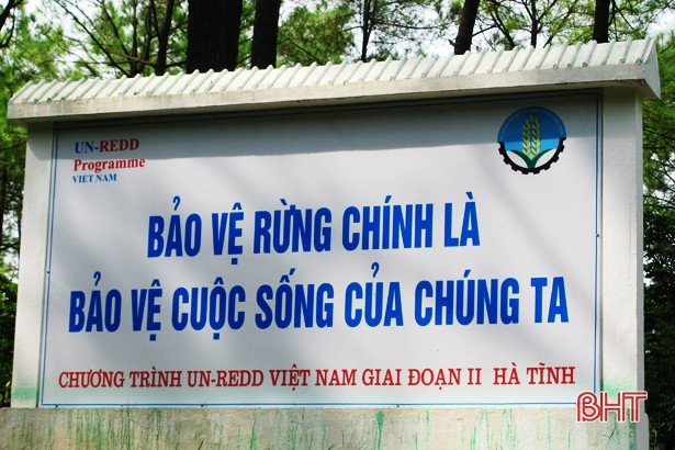 Hà Tĩnh xây dựng kế hoạch phòng chống cháy rừng với 500 người