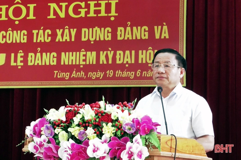 Tùng Ảnh tổng kết công tác xây dựng Đảng và thi hành Điều lệ Đảng