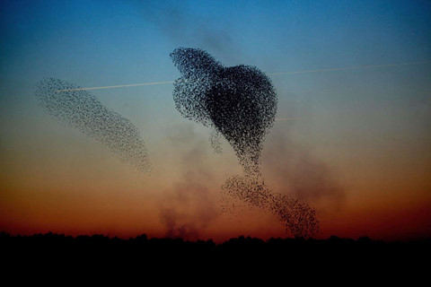 Cực quang và những hiện tượng tự nhiên đầy màu sắc ảnh 9 Cực quang và những hiện tượng tự nhiên đầy màu sắc