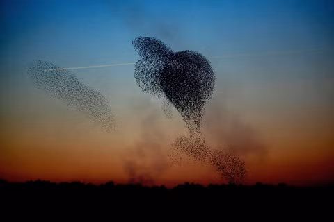 Cực quang và những hiện tượng tự nhiên đầy màu sắc