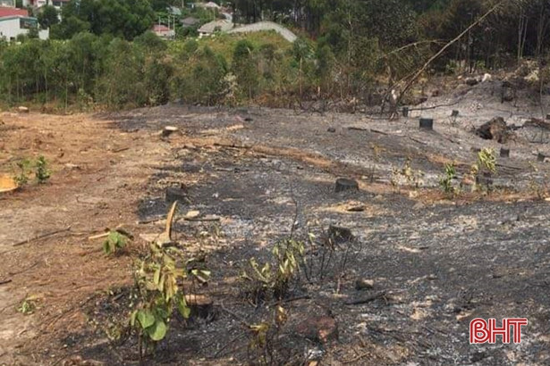 Cháy rừng ở thị xã Kỳ Anh: Đám cháy chưa ảnh hưởng tới rừng trồng