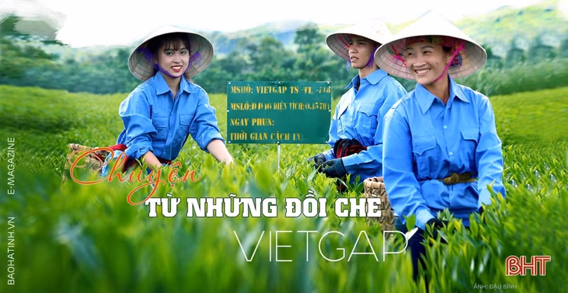 Báo Hà Tĩnh không ngừng đổi mới, sáng tạo vì bạn đọc