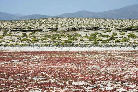 Cực quang và những hiện tượng tự nhiên đầy màu sắc