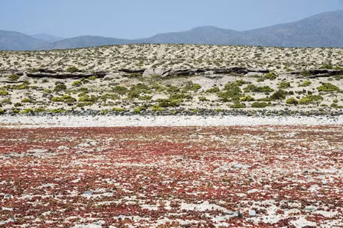 Cực quang và những hiện tượng tự nhiên đầy màu sắc