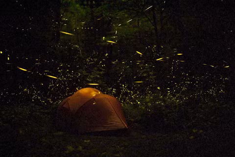 Cực quang và những hiện tượng tự nhiên đầy màu sắc