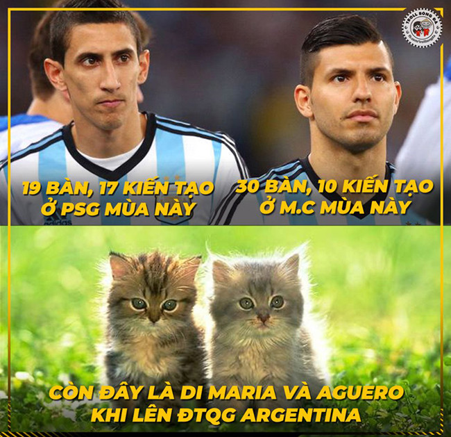 Ảnh chế Messi “cầu cứu“ HLV Park Hang Seo hiến kế để đánh bại Qatar