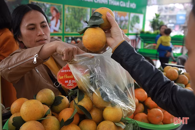 Những gian hàng “níu chân” khách ở Lễ hội Cam và sản phẩm nông nghiệp Hà Tĩnh