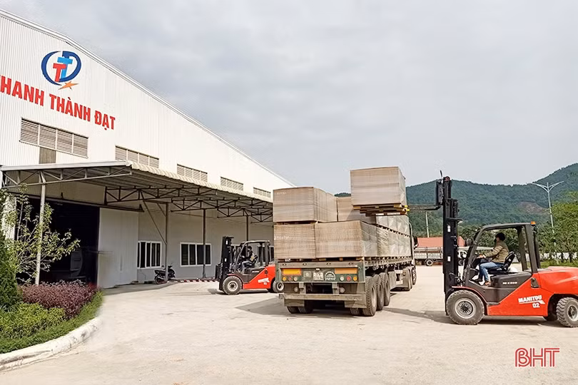 Doanh nghiệp sản xuất gỗ Hà Tĩnh trước sức ép gỗ ngoại nhập giá rẻ