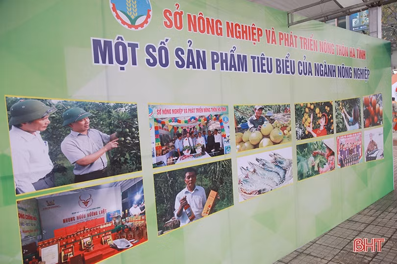 Nhộn nhịp chuẩn bị cho Lễ hội Cam và các sản phẩm nông nghiệp Hà Tĩnh lần thứ 3