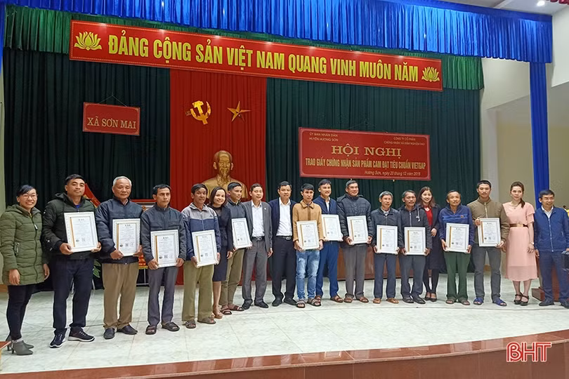 Trao giấy chứng nhận VietGAP cho người trồng cam Hương Sơn