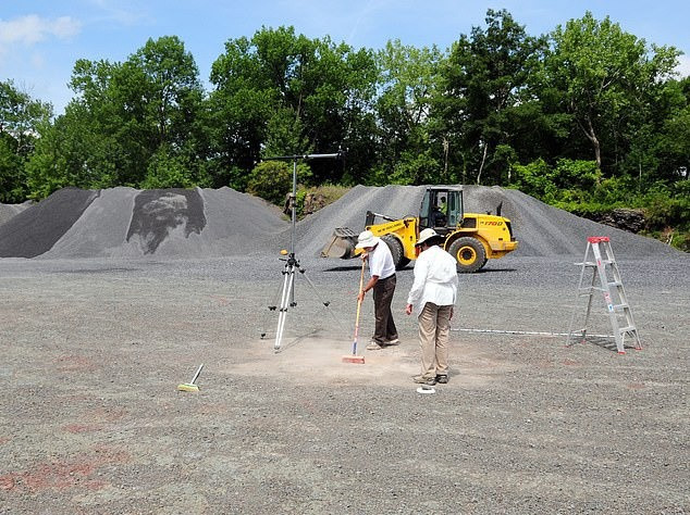 Phát hiện khu rừng cổ đại 386 triệu năm