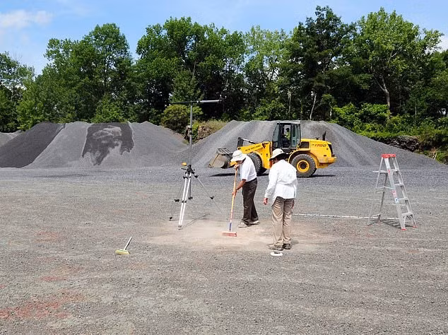 Phát hiện khu rừng cổ đại 386 triệu năm