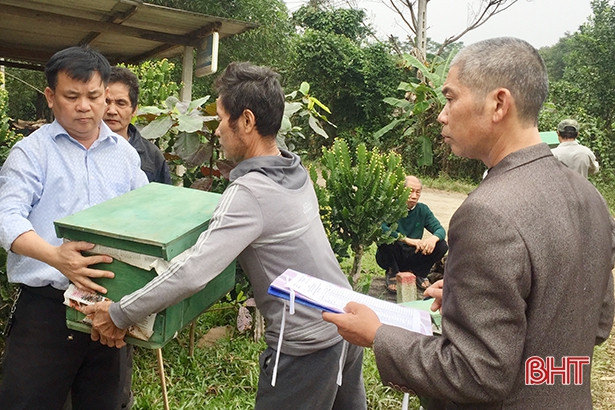 Hỗ trợ 200 đàn ong giống cho hộ nghèo, cận nghèo ở xã miền núi Hương Khê