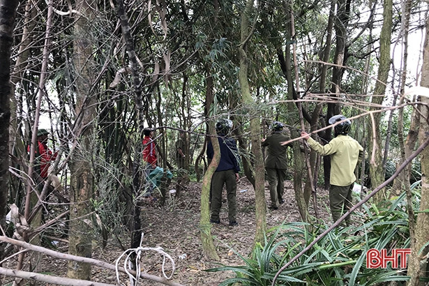 Lộc Hà ra quân xử lý tình trạng săn bắt chim hoang dã trái phép