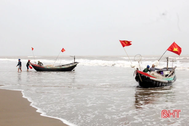 Ngư dân Nghi Xuân trúng tôm bạc “kiếm” tiền triệu mỗi ngày