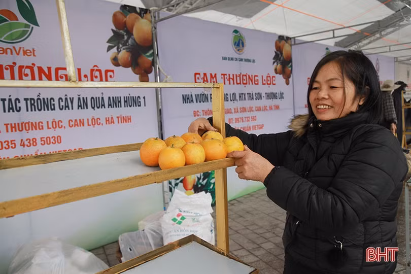 Nhộn nhịp chuẩn bị cho Lễ hội Cam và các sản phẩm nông nghiệp Hà Tĩnh lần thứ 3