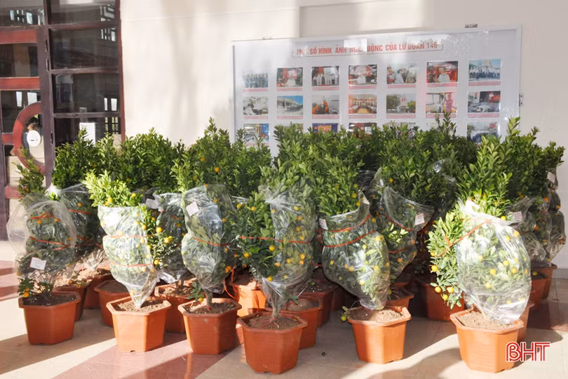 Gửi tấm lòng đồng bào cả nước tới Trường Sa