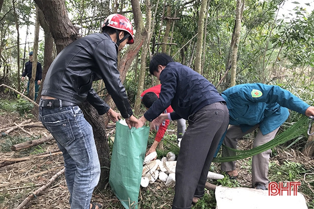 Lộc Hà ra quân xử lý tình trạng săn bắt chim hoang dã trái phép