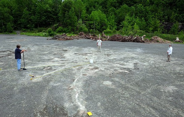 Phát hiện khu rừng cổ đại 386 triệu năm